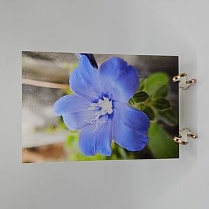 4x6 Lavender Flower Floral Watercolor Oil‎ Painting Art Print